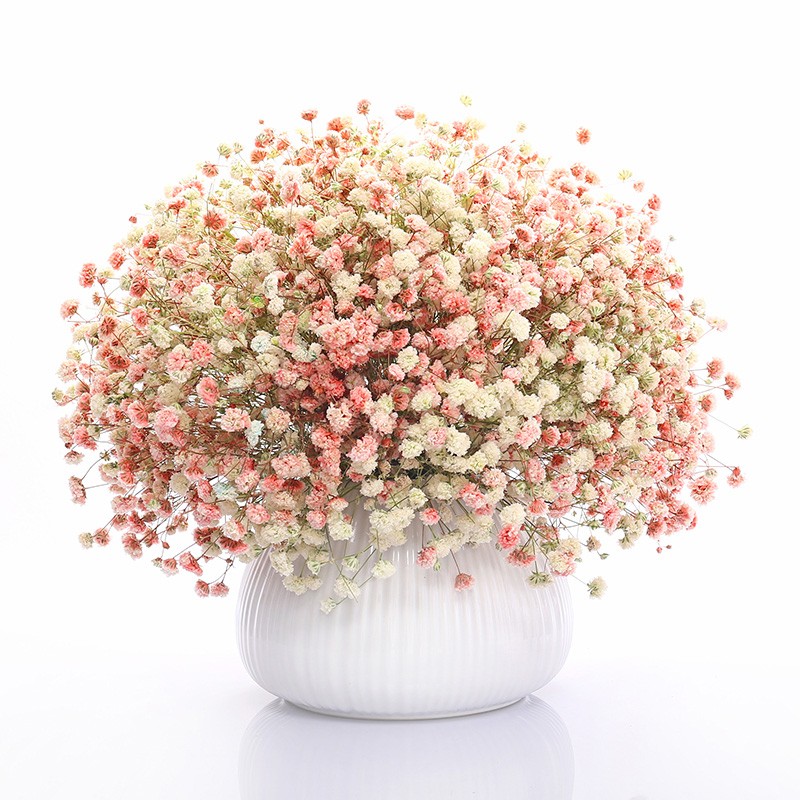 查干花历史低价|干花价格走势
