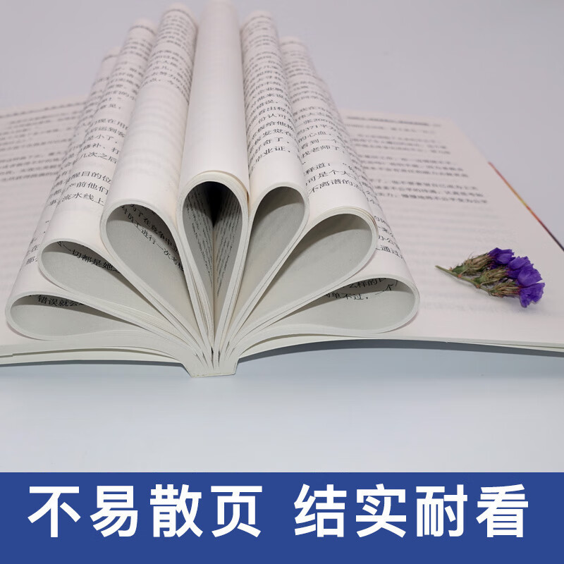 你只管努力，其他交给天意详情图