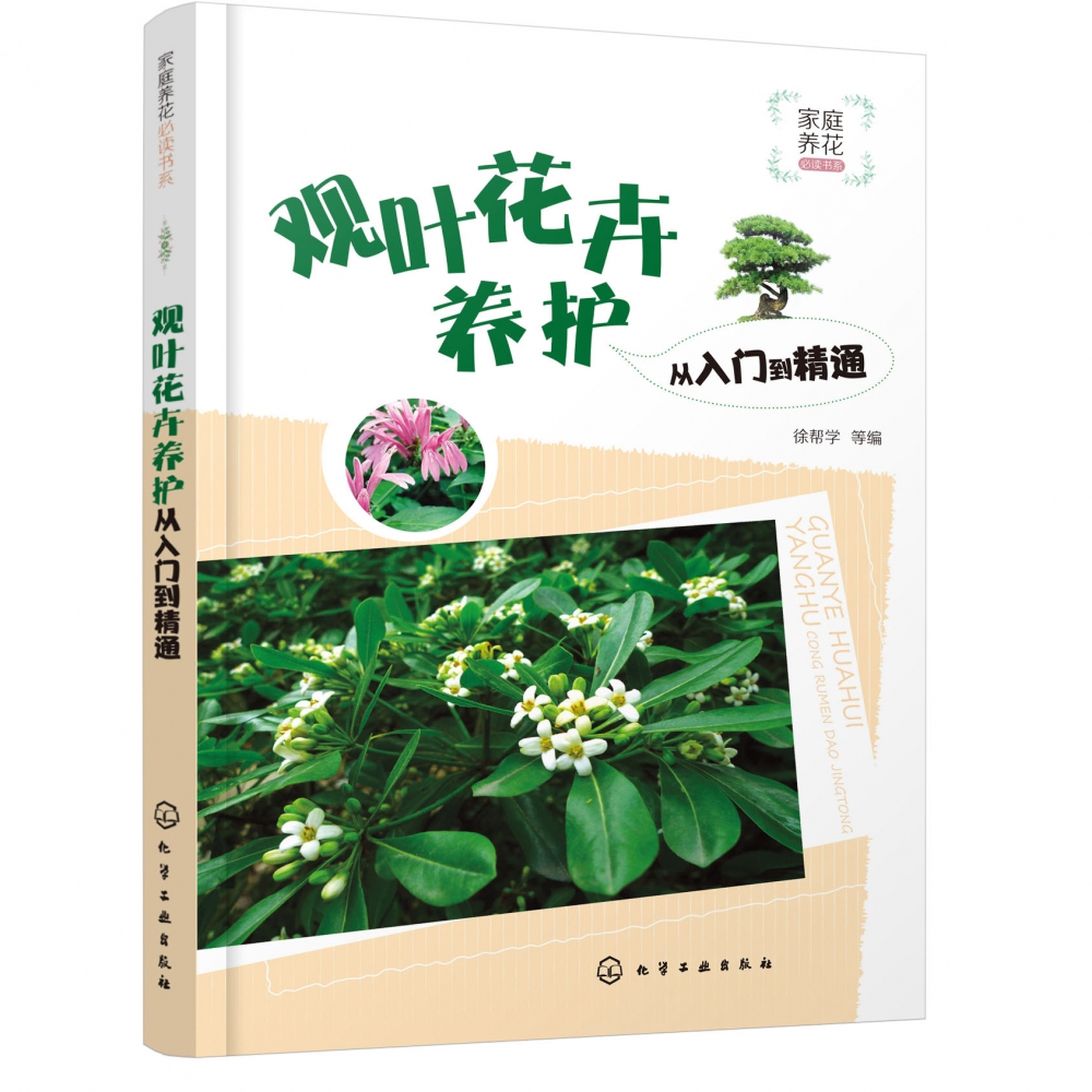 观叶花卉养护从入门到精通/家庭养花书系