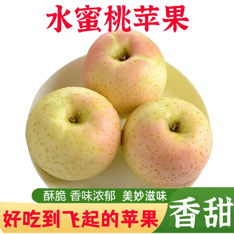 青森王林苹果 雀斑美人 脆甜多汁 新鲜水果 5斤中果 75-80mm