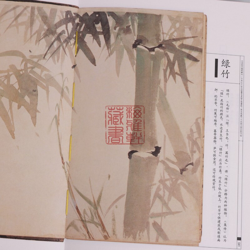 美了千年 却被淡忘 诗经名物图解 国学经典 诗经中的植物 中国画报出版社