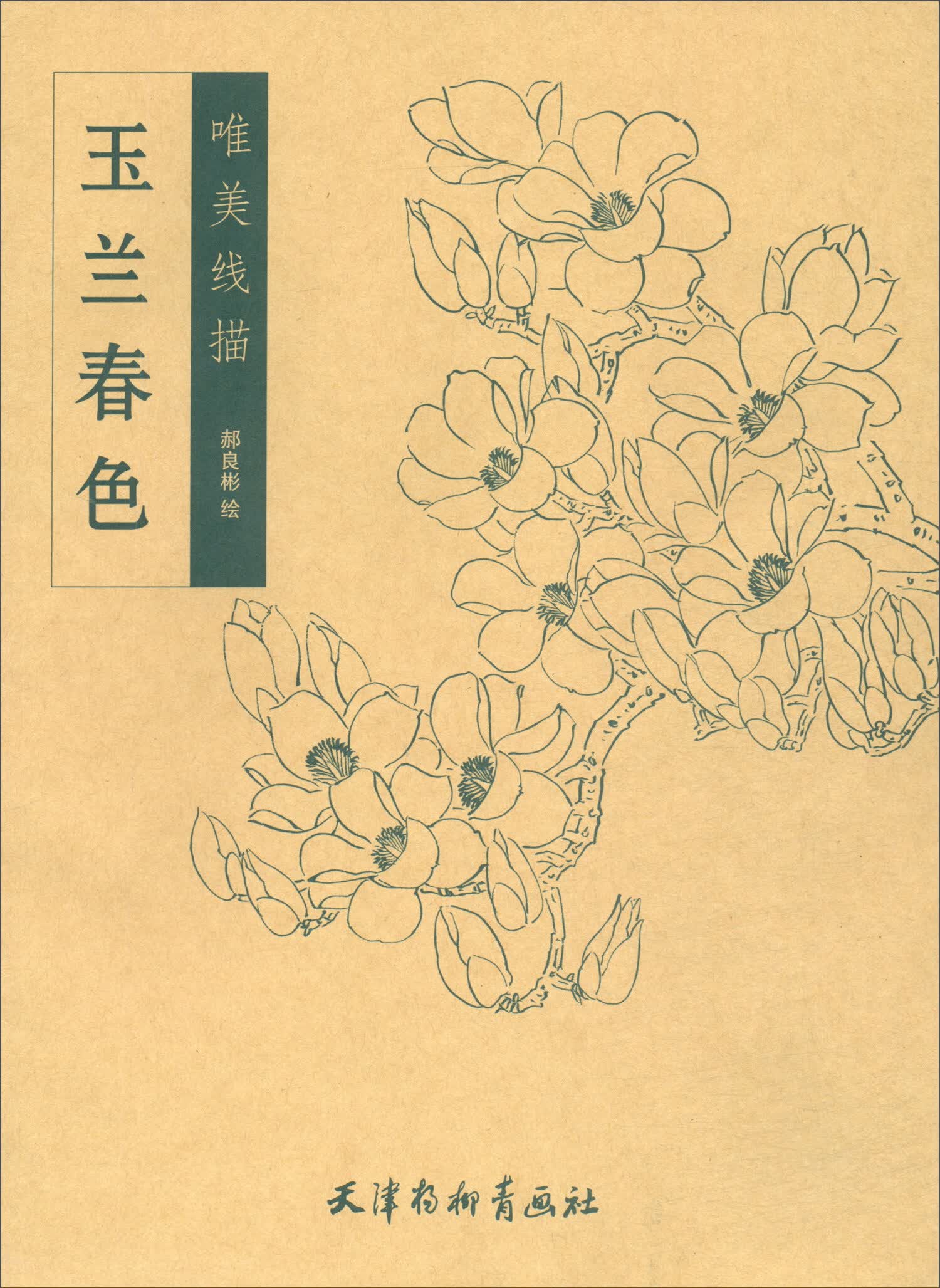 玉兰春色