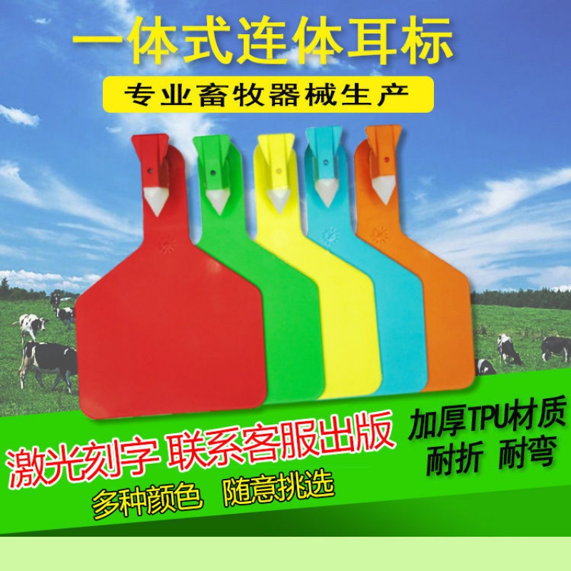 云珀牛用耳标大号连体耳标畜牧大牛耳标一体式牛耳标定制耳标 黄色