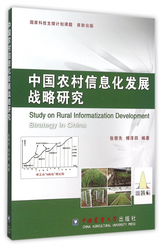 中国农村信息化发展战略研究