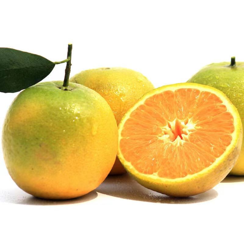 秭归伦晚橙子脐橙手剥橙薄皮夏橙薄皮 当季夏天的橙子 酸甜多汁 时令新鲜水果 净重8斤 果径60-65mm