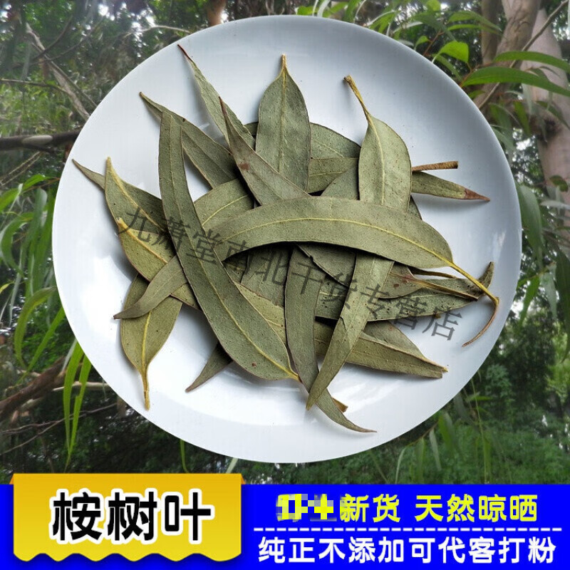【有仁堂】桉树叶500g中草药小桉树大叶药食滋补按树叶子干尤加利树叶
