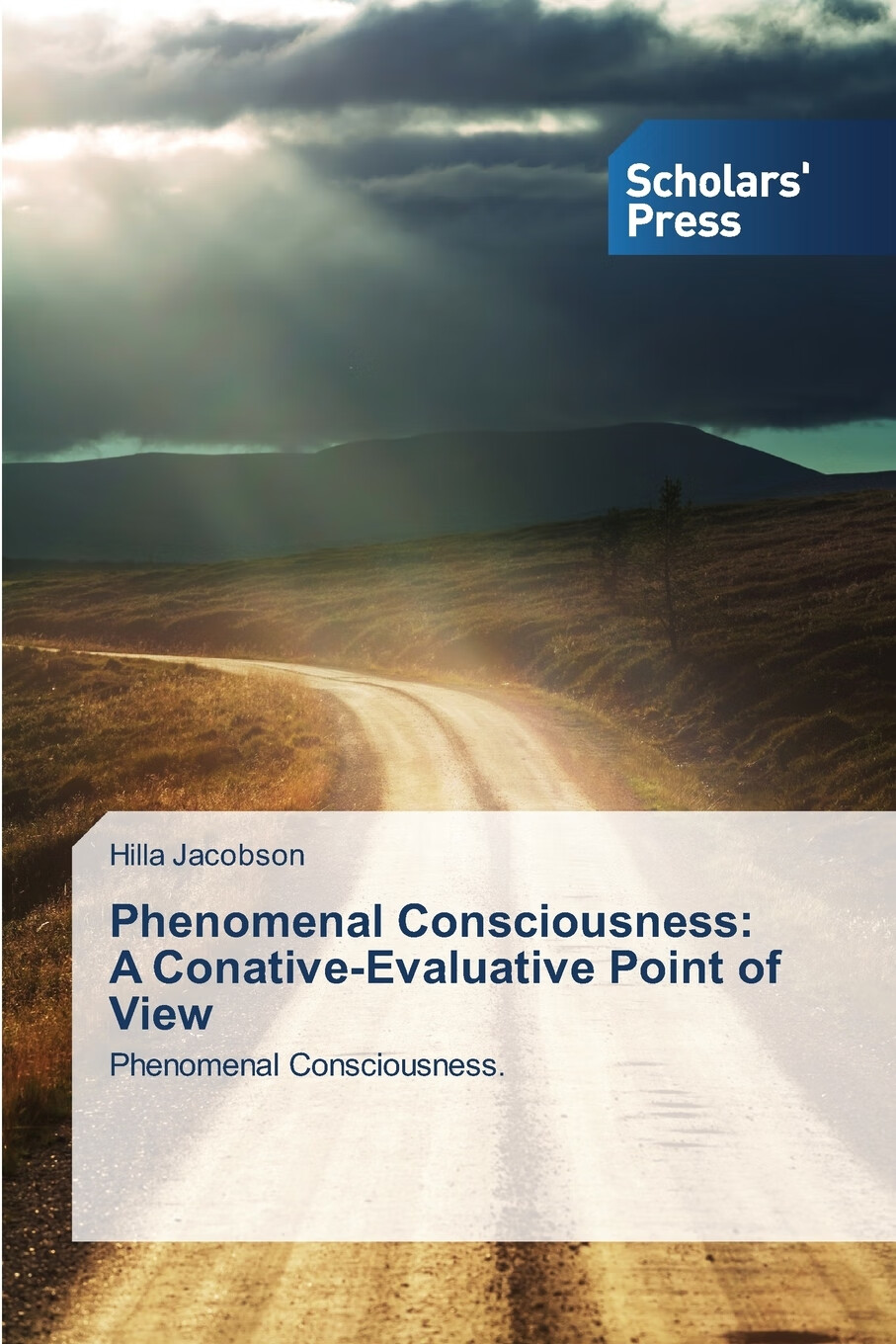 【预售 按需印刷】phenomenal consciousness