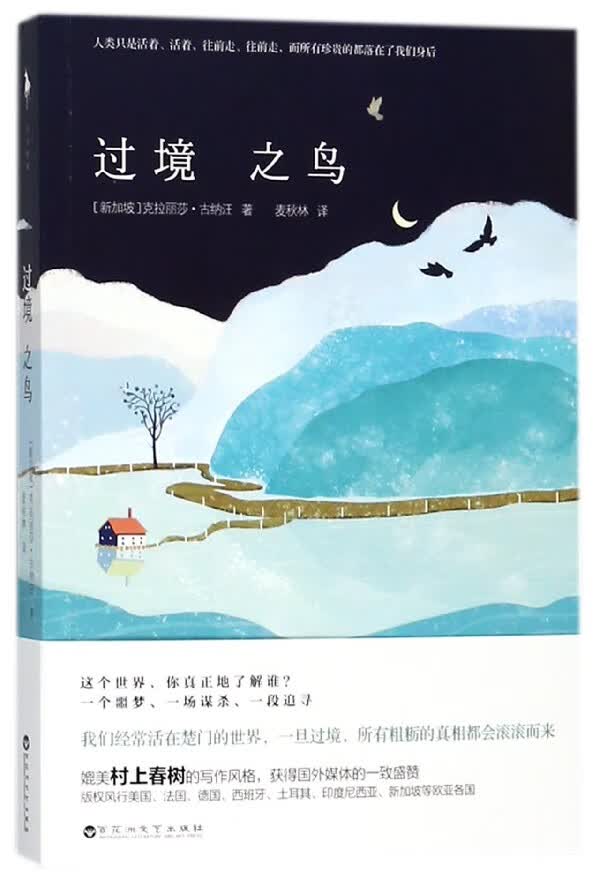 过境之鸟