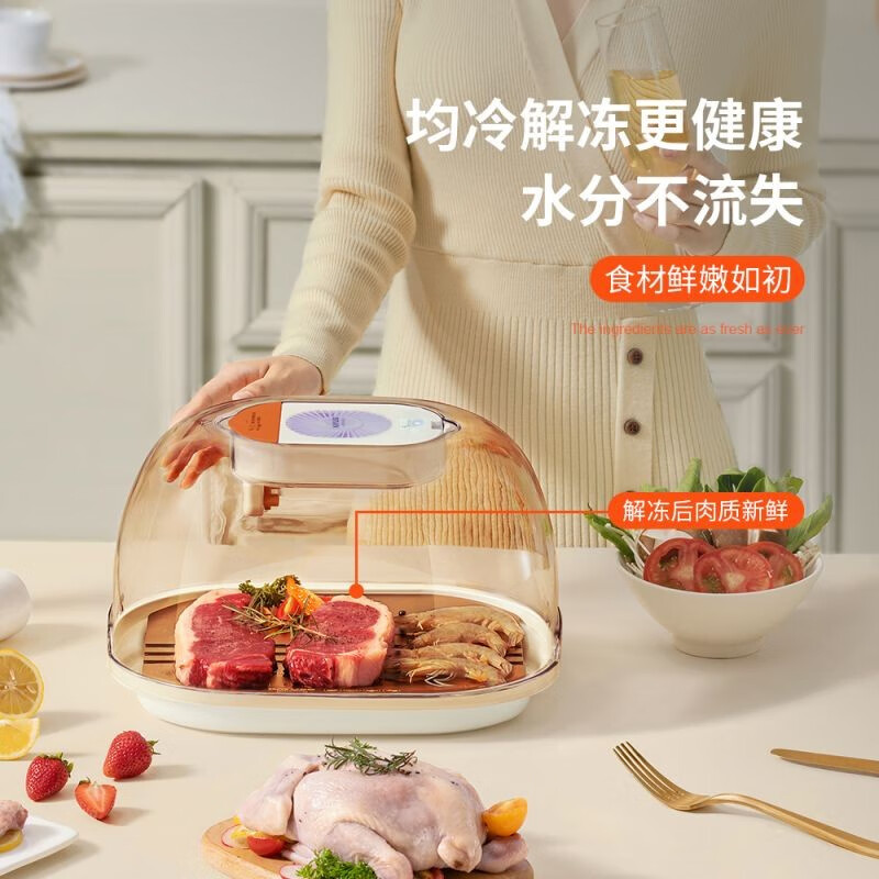 巧居巧具(qiao ju qiao ju) 家用保鲜解冻器解冻盘化冻板肉类快速解冻
