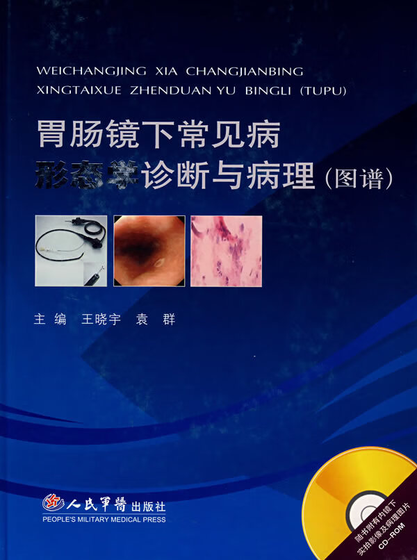 胃肠镜下常见病形态学诊断与病理 王晓宇,袁群主编【正版】