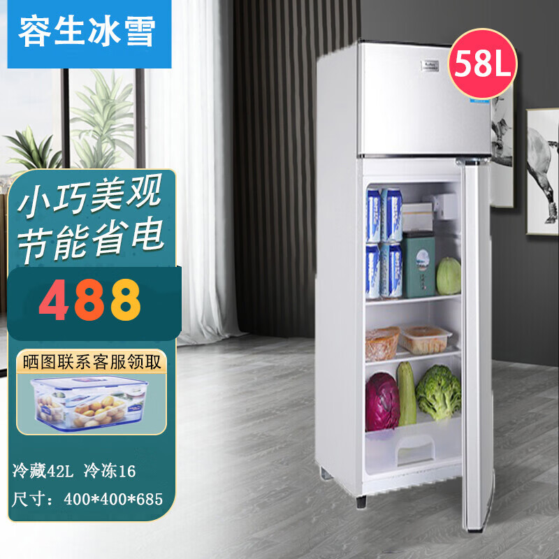 容生冰雪小冰箱家用小型宿舍租房办公室节能迷你省电双门电冰箱 双 门