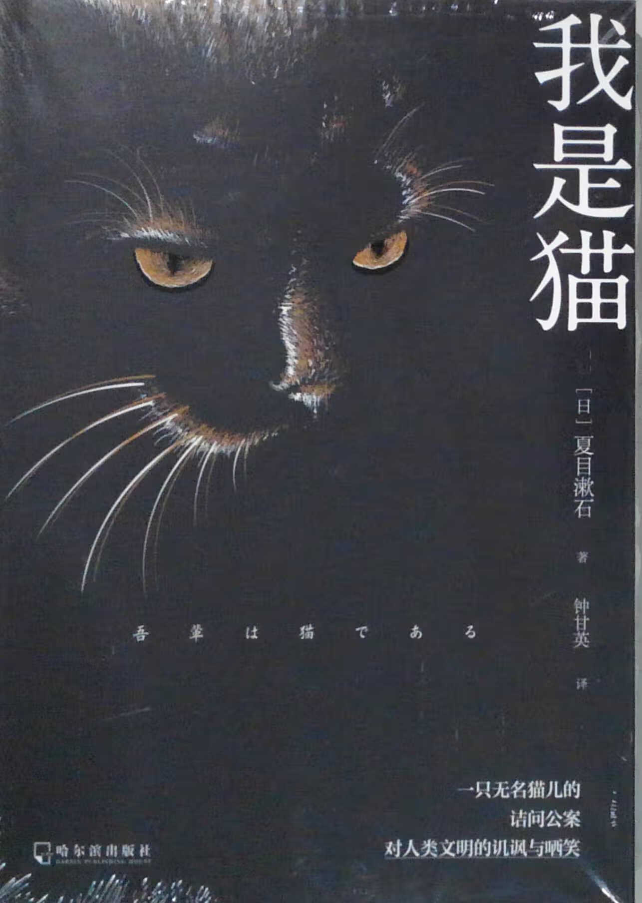我是猫 [日]夏目漱石著 新华书店正版书籍