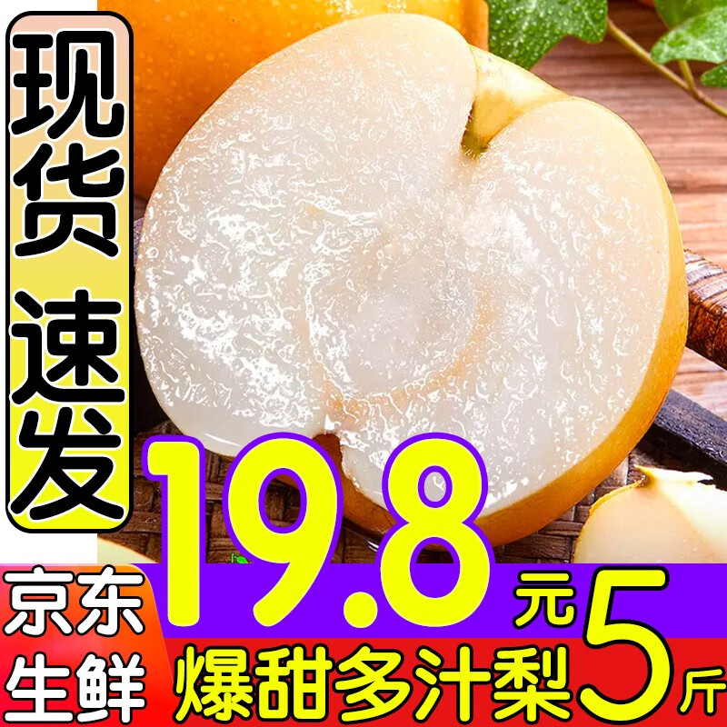 淳果一木 丰水梨 4.5-5斤整箱 梨子秋月黄金  新鲜水果 生鲜 水果