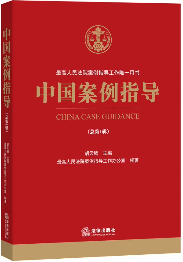 中国案例指导 胡云腾主编【正版】