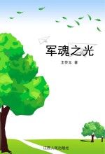 军魂之光 王传玉