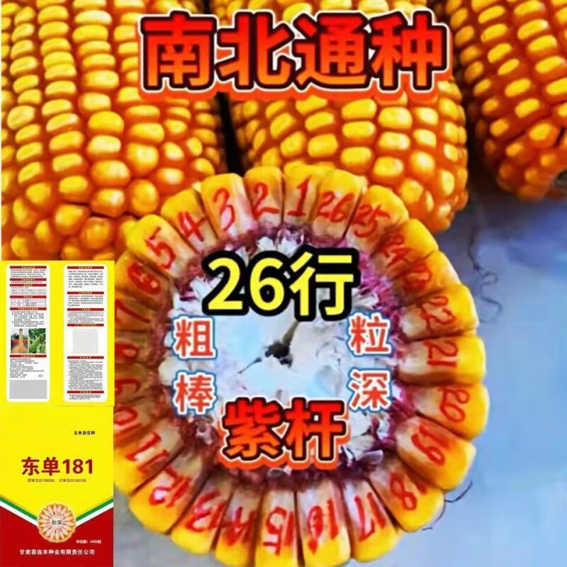 东单181玉米种子大全国审红轴苞米紫叶矮杆抗病抗旱 4400粒一袋属于什么档次？
