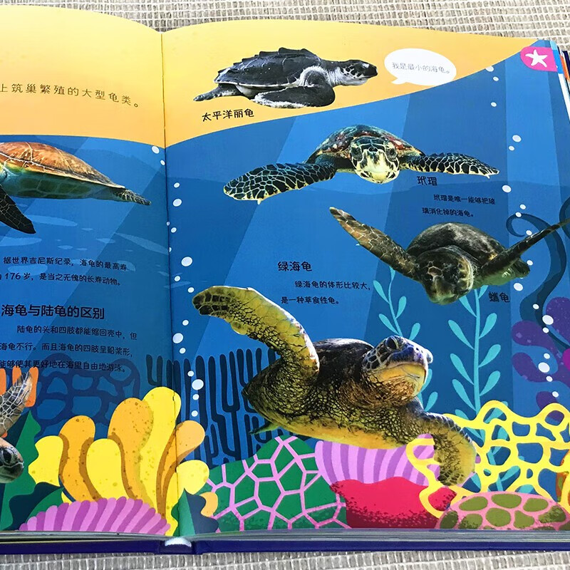 海洋那些重要的事（精装）有趣海洋知识神秘莫测海底世界千奇百怪海洋生物 少年儿童探索百科全书详情图
