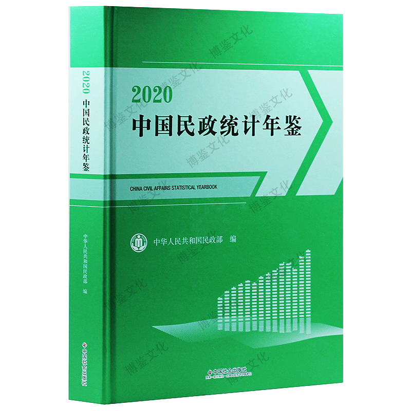 中国民政统计年鉴 2020年版（附电子版）