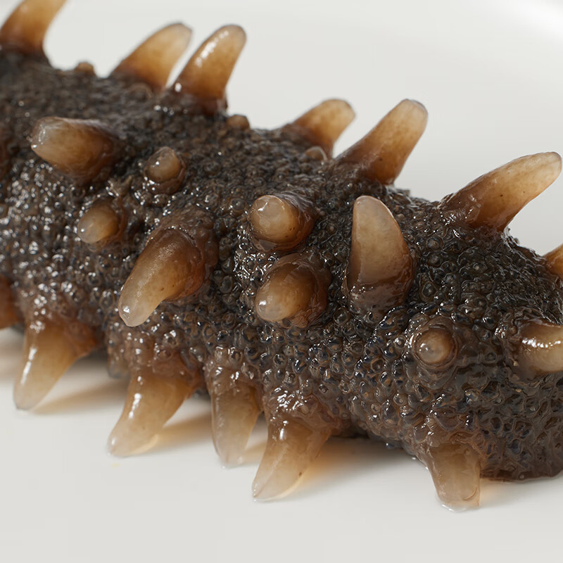 张奶奶即食海参正宗大连原产新鲜解冻即食非淡干尝鲜家庭礼盒装无污染 【尝鲜装无礼盒】6-7头约200g