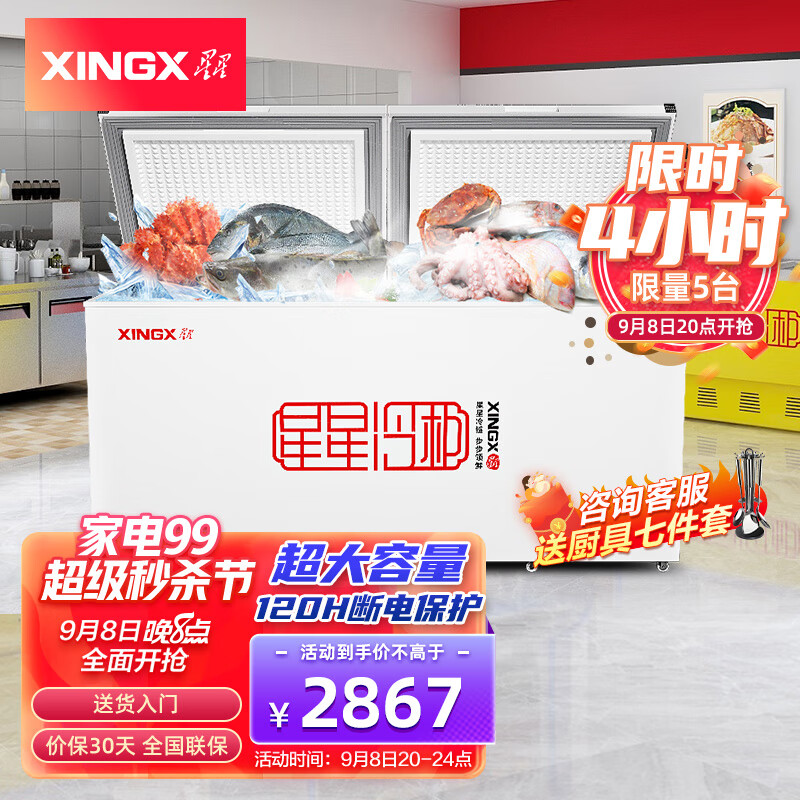 星星（XINGX） 700升 商用大容积卧式单温冰柜 冷藏冷冻转换冷柜 单箱变温冰箱 BD/BC-700R