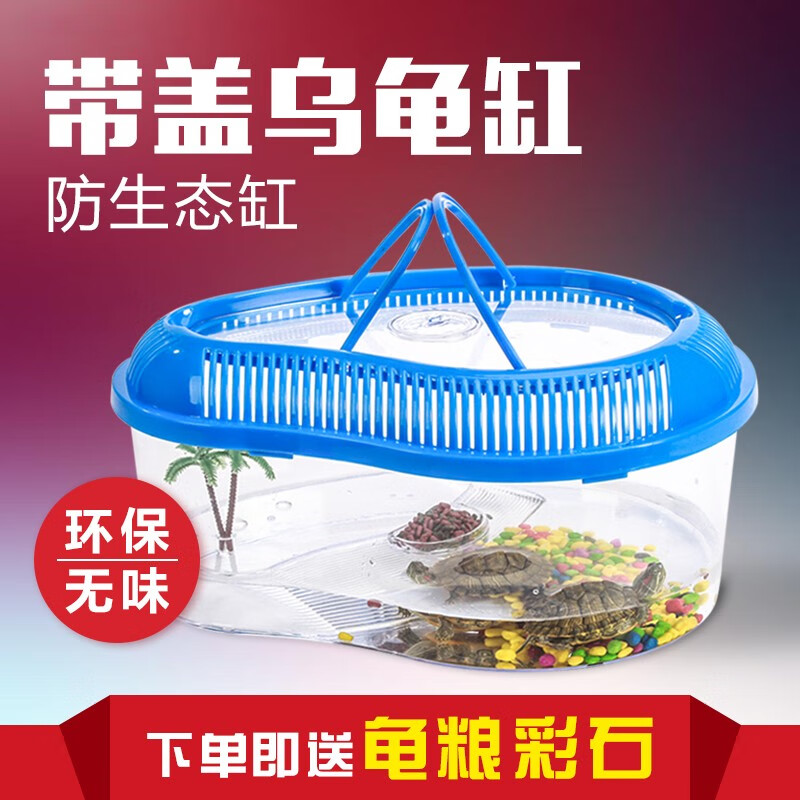 分析区别下乔易萌龟粮真实使用评测，了解一周心得分享
