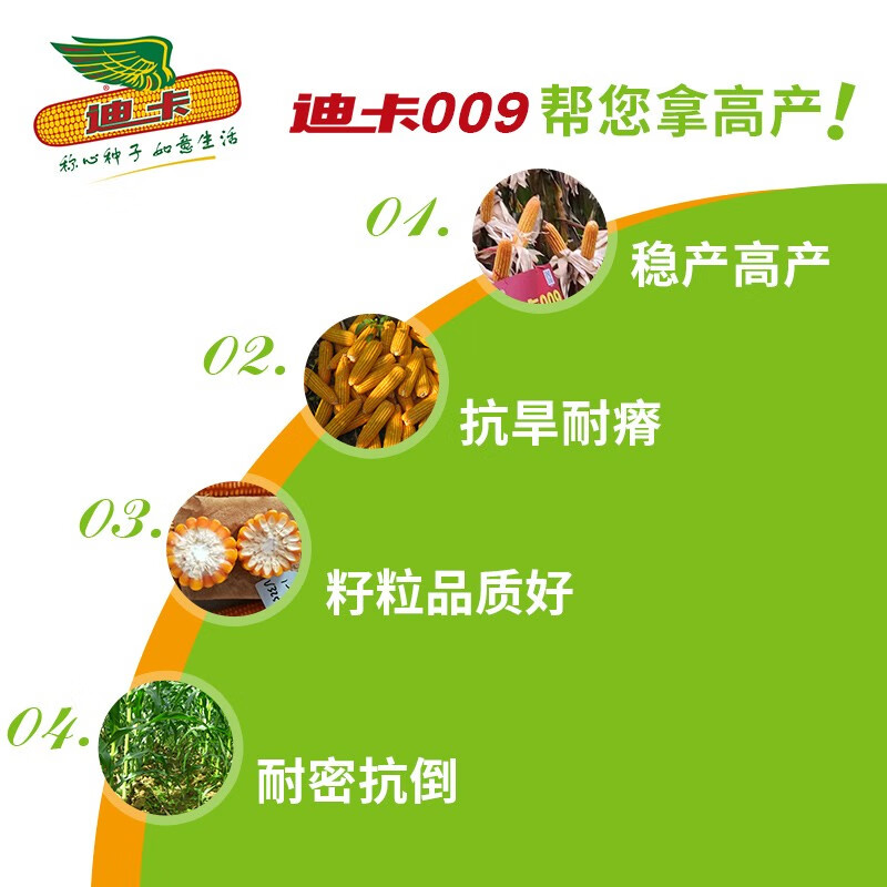 迪卡玉米种子正品保障 迪卡009抗旱耐瘠 4200粒 主销贵州广西云南