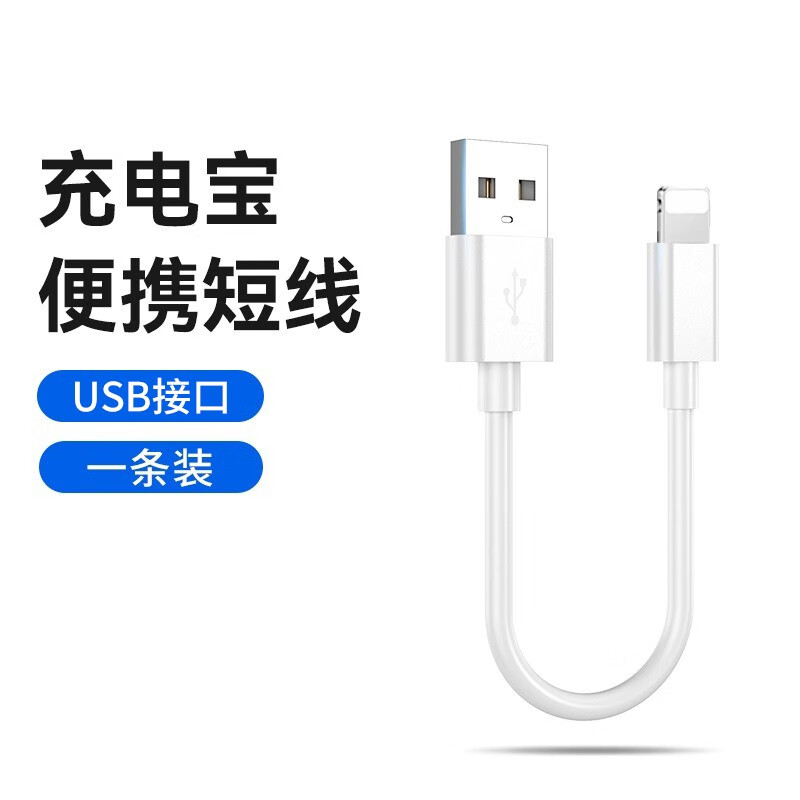 威焱适用苹果iphone快充数据线短款便携充电宝通用usb充电线手机短线超短充电线充电器线PD快充 0.25mUSB数据线 1条