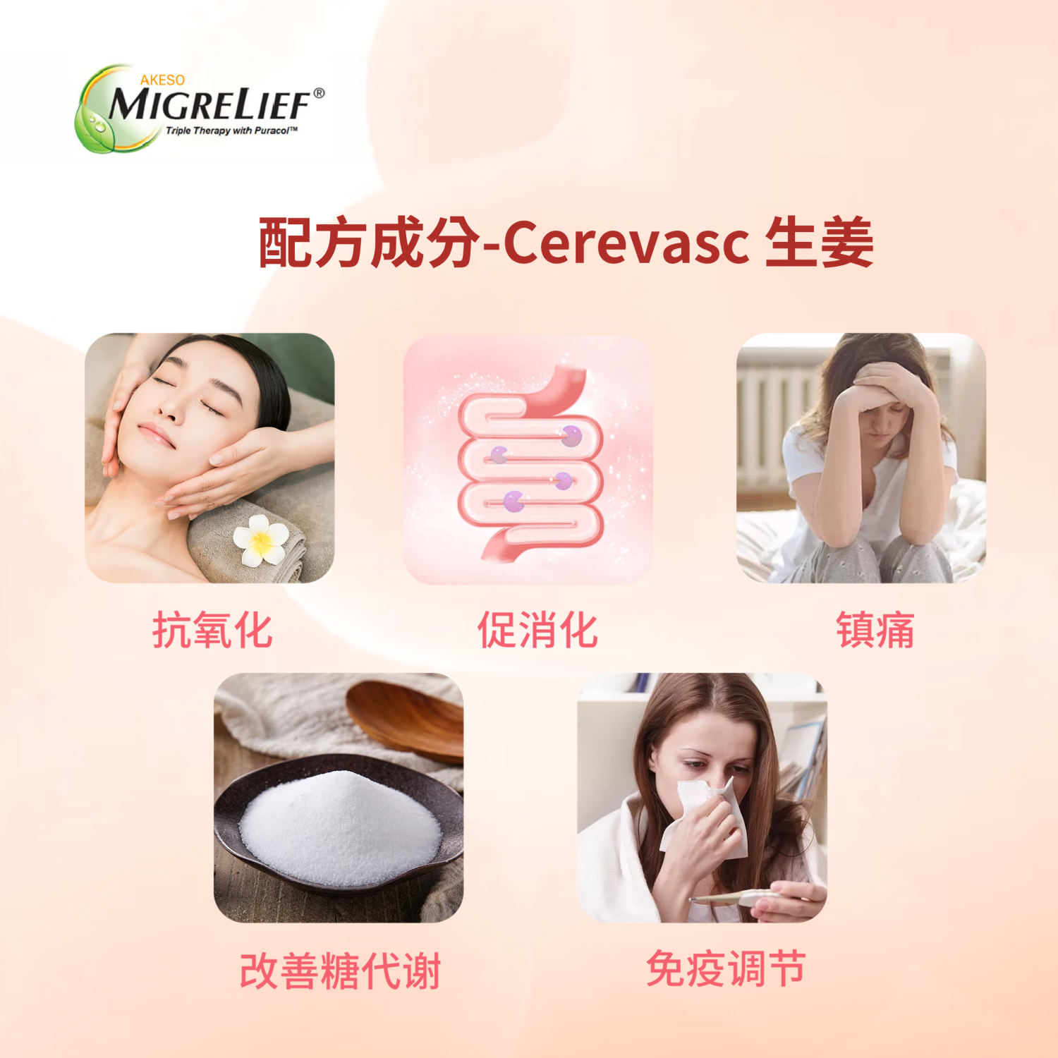 MigreLief迈立疏美国进口镁营养补剂小白菊维生素B2速效缓解偏头痛体验装