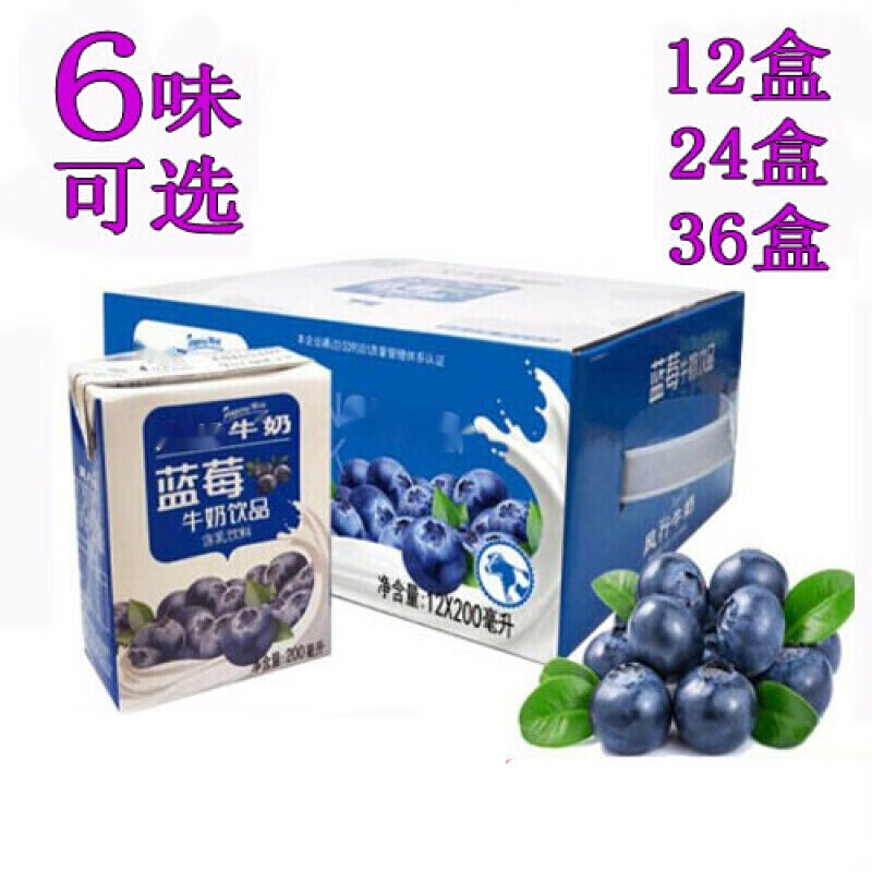 巢浩蓝莓味牛奶200ml*12盒整箱 红枣枸杞谷物纯牛奶木瓜原味酸奶 所有
