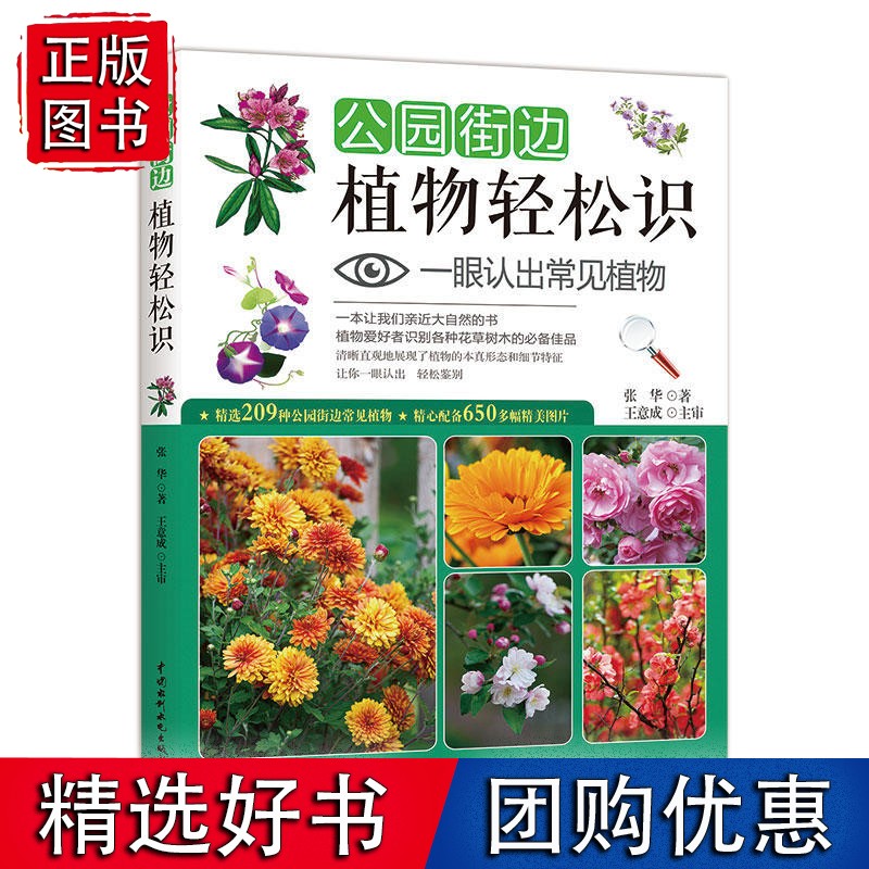 公园街边植物轻松识：一眼认出常见植物