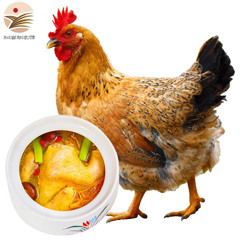 易享道 黄油老母鸡农家土鸡肉 生鲜走地鸡新鲜整鸡净堂 单只净重2-2.