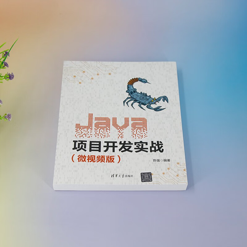 Java项目开发实战（微视频版）