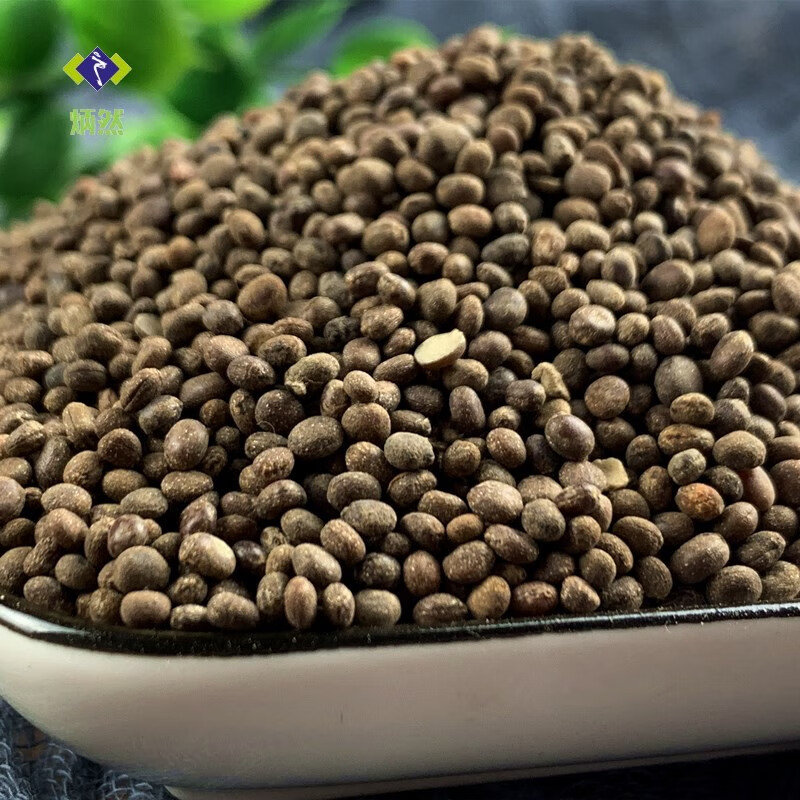 炳然急性子500克g凤仙花子指甲花籽凤仙子中药材磨急性子粉