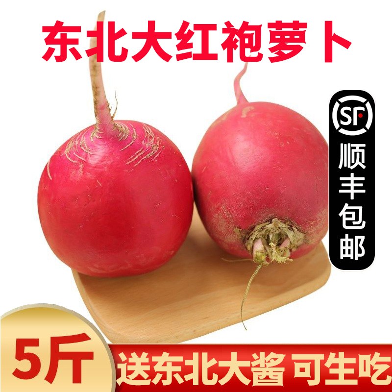 【顺丰】东北大红袍萝卜 新鲜红皮白肉萝卜 新鲜蔬菜 5斤