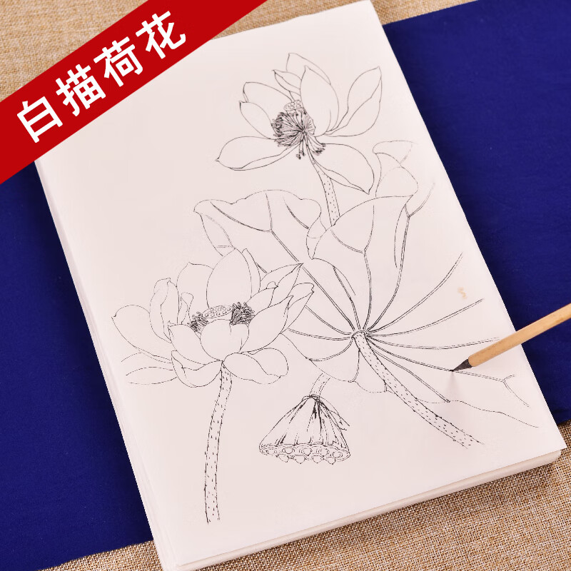 臻言 工笔画白描底稿手绘荷花画谱云母熟宣线描 初学者美术基础教程