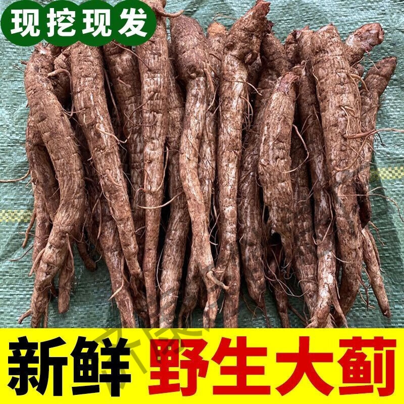北京仁同堂原料云南野生大蓟根马刺根鸡翅根恶新鲜煲汤炖鸡排骨 新鲜
