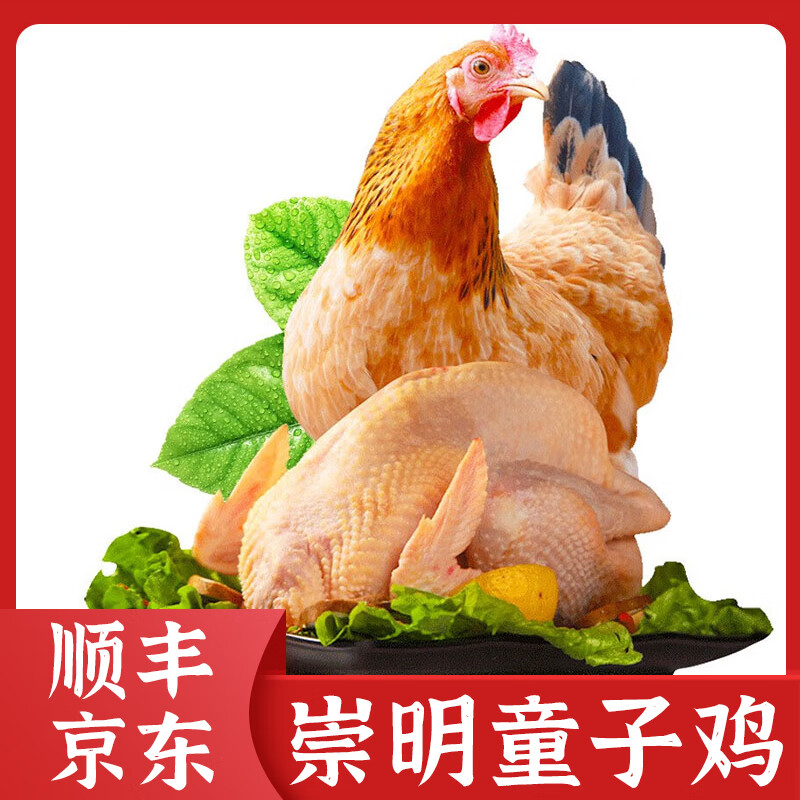 老杜上海崇明岛童子鸡800g*1只 整只鸡清蒸新鲜鸡肉白切鸡 800g 崇明童子鸡*1只