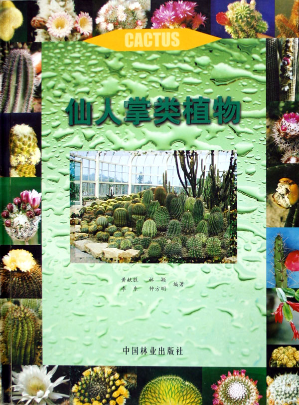 仙人掌类植物(精装)