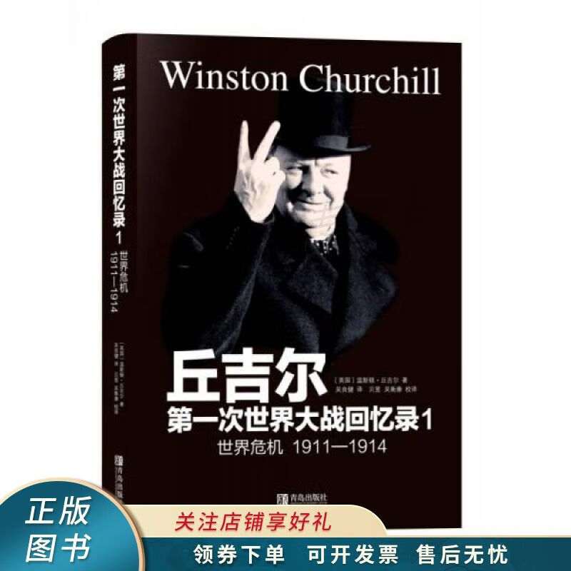 第一次世界大战回忆录1世界危机1911-1914