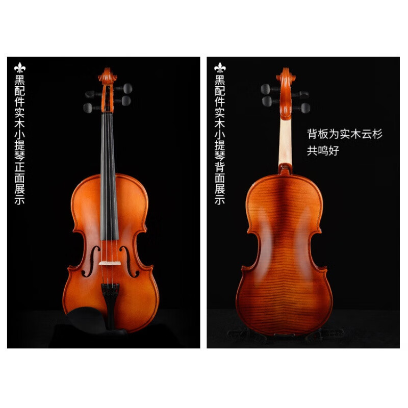 天鹅实木小提琴儿童初学者练习进阶考级演奏级小提琴乐器 4/4型号黑