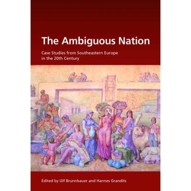 预订 the ambiguous nation: case studies from sout.