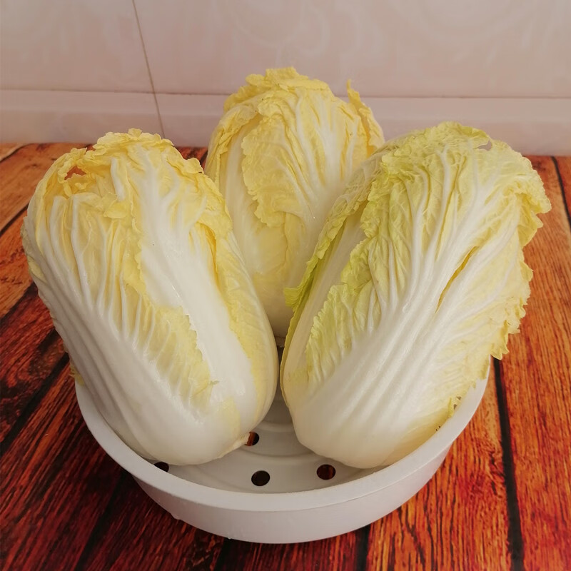 云南新鲜现摘农家露天种植娃娃菜小白菜黄心蔬菜火锅食材当季蔬菜