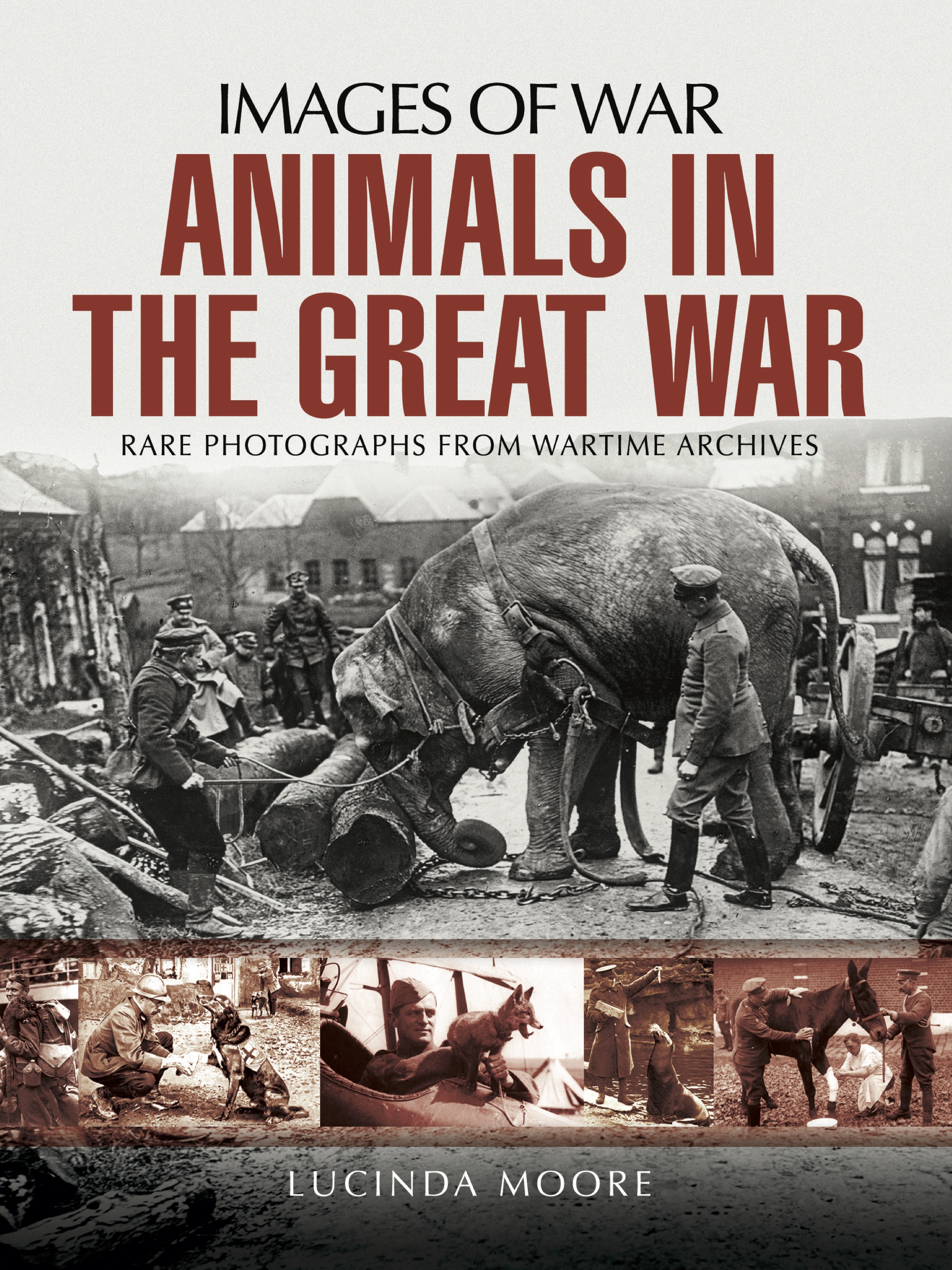 animals in the great war