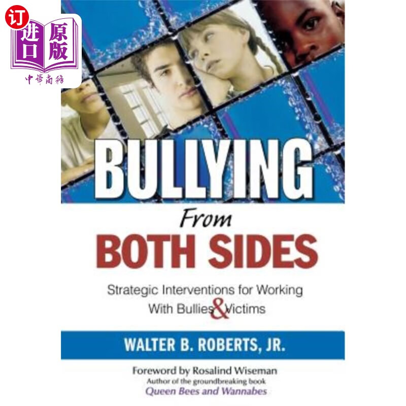 海外直订bullying from both sides: strategic interventions for