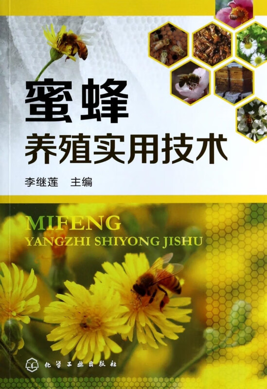 蜜蜂养殖实用技术