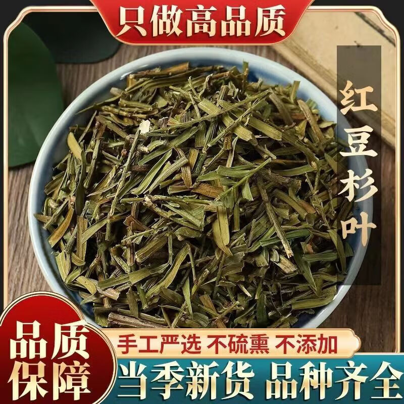 北京同仁堂红豆i杉叶中草药材豆杉叶子另有红豆i杉树皮 250g