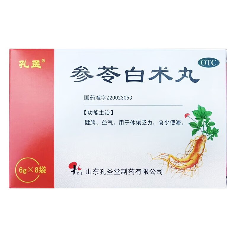 参苓白术丸 6g*8袋/盒 1盒装
