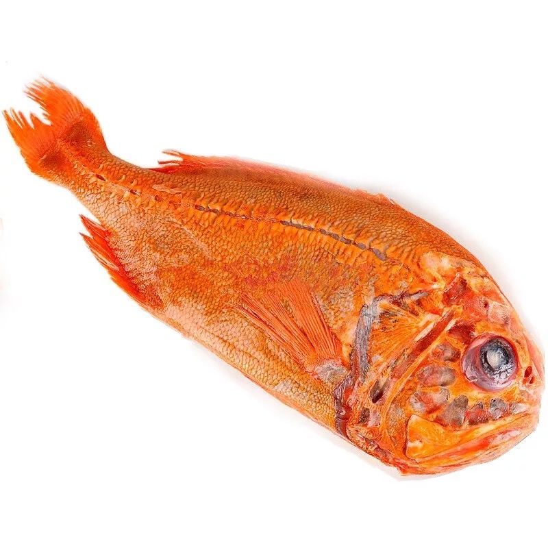长寿鱼1-3.5斤/条  富贵鱼 新西兰长寿鱼 长寿鱼鲜木顺丰 长寿鱼2.