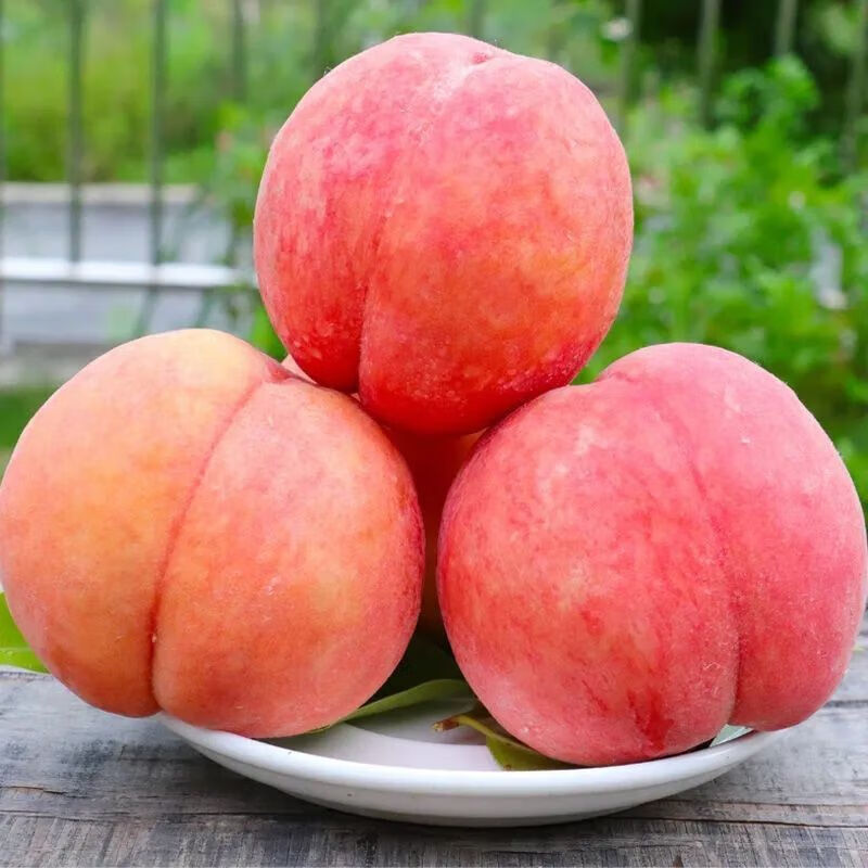 家庭农场山西水蜜桃甜脆桃子新鲜水果毛桃现摘 带箱3斤(单果约65mm)