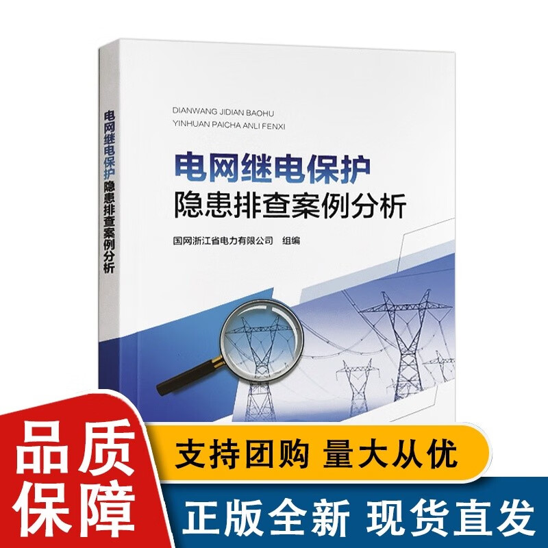 电继电保护隐患排查案例分析